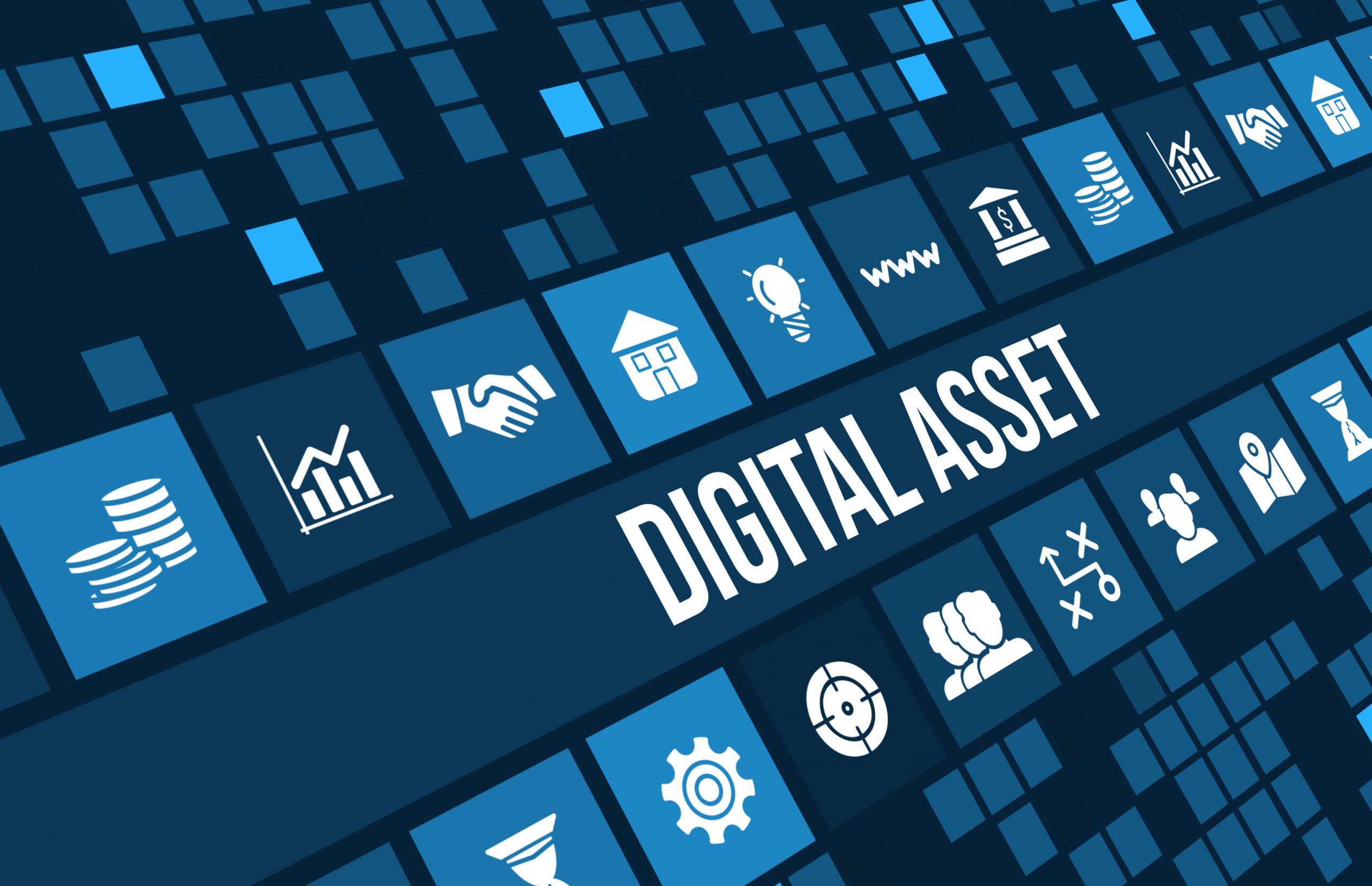 5 Reasons You Need A Digital Asset Manager