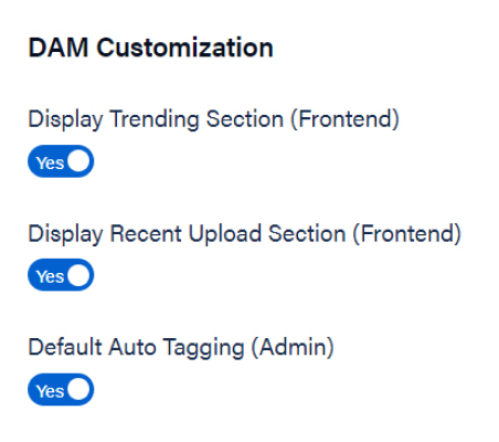 dam_customination_image